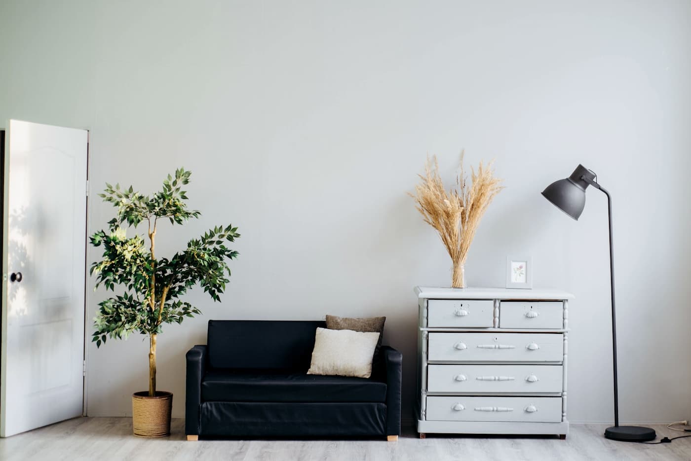Soft daylight falling across a refined interior